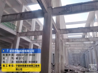 圣灵作物科技有限公司