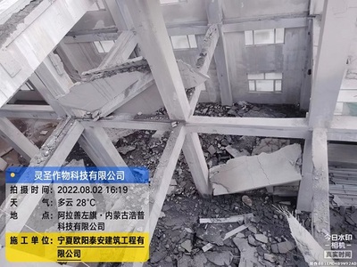 圣灵作物科技有限公司